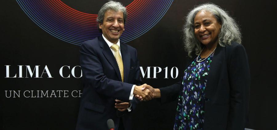 ¿Cómo hubiera organizado la COP20?