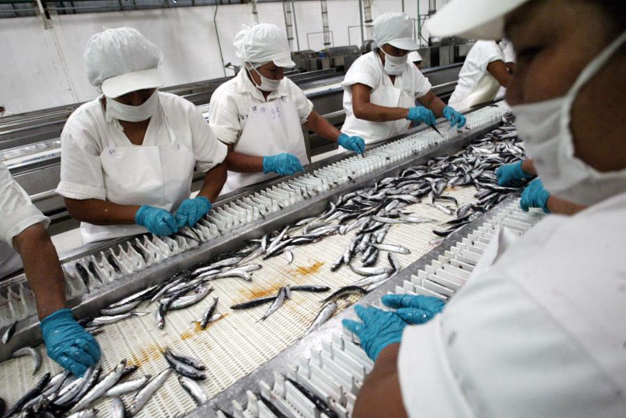 Pesca, un fracaso más