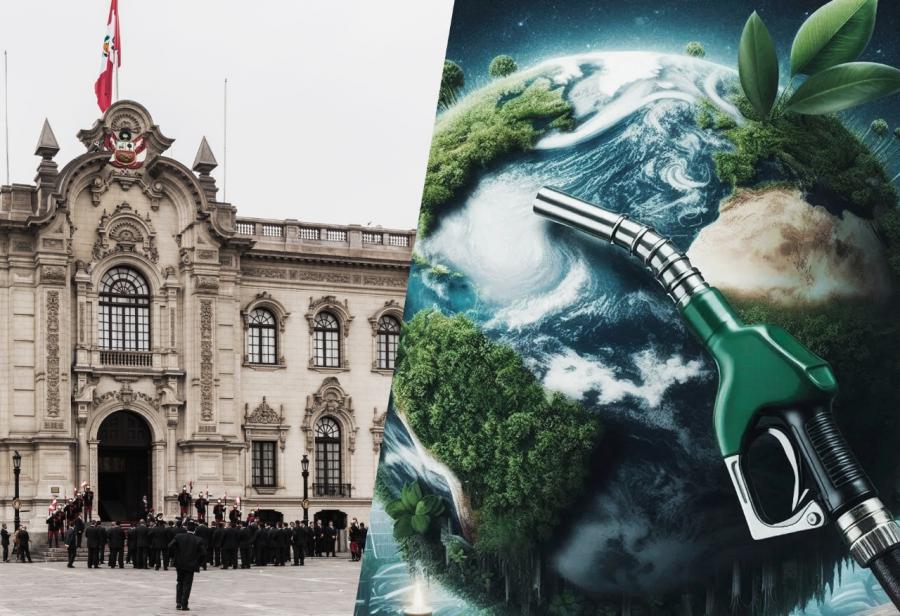 El segundo intento de promocionar los biocombustibles