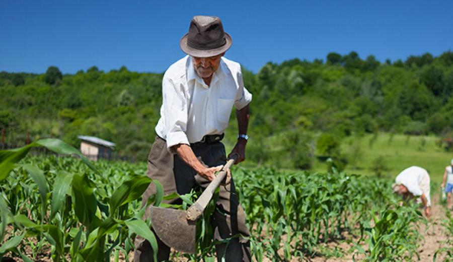 Ley de Promoción Agraria: si funciona, que continúe