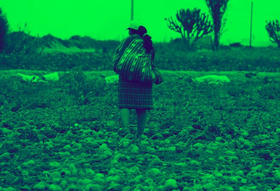 Agricultores en pobreza. ¿Por qué?