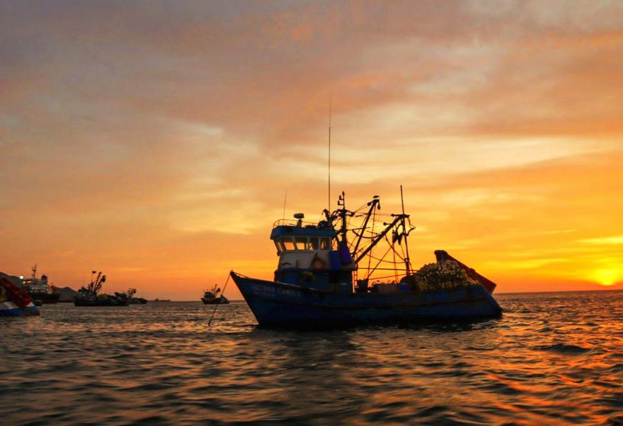Provincia de Ilo: un legado de pesca y desarrollo minero