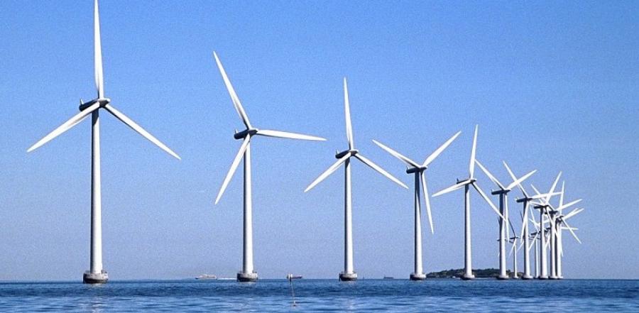 El alto costo de las eco-stafas