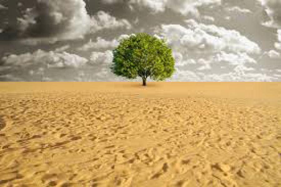 Las falacias sobre el CO2