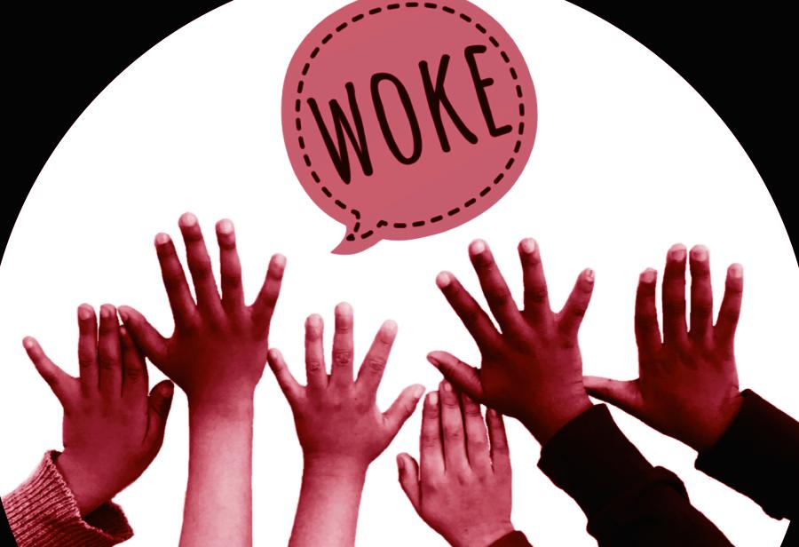El problema woke